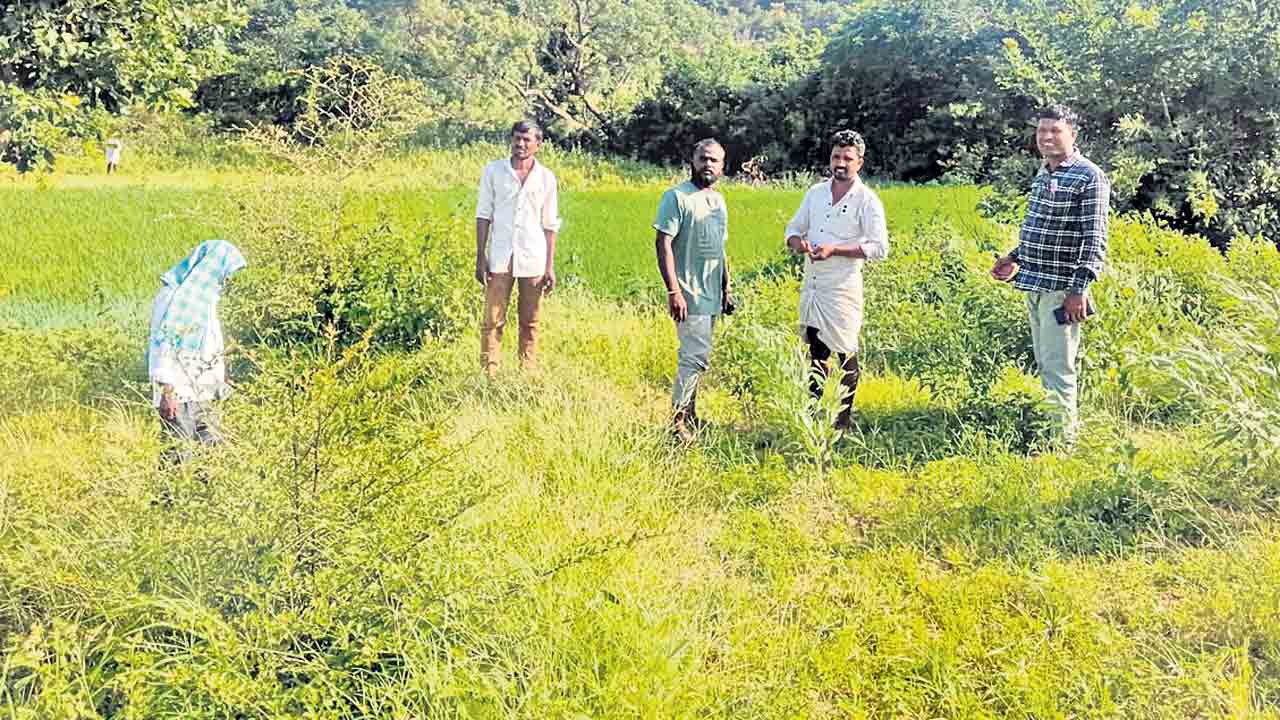 పేరపళ్లలో కొనసాగుతున్న రీసర్వే