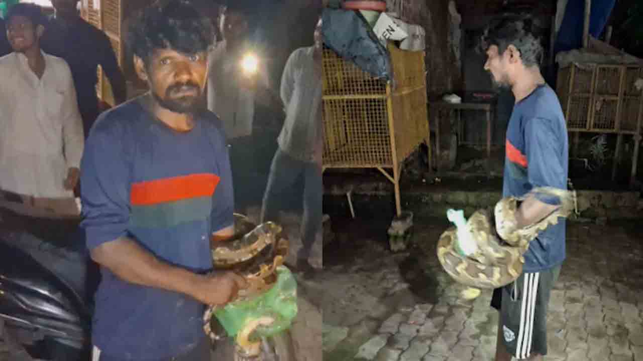 Watch: మటన్‌ షాపులోకి ప్రవేశించిన భారీ కొండచిలువ.. తర్వాత ఏం జరిగిందంటే?