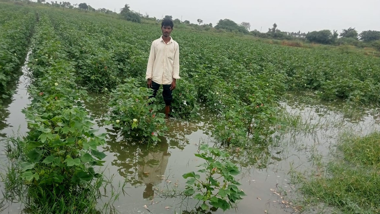 Sangam Banda 1