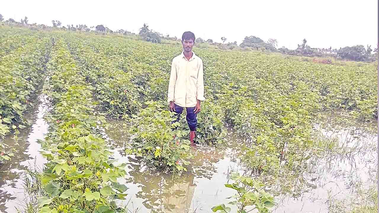 సంగంబండ కాలువకు గండి