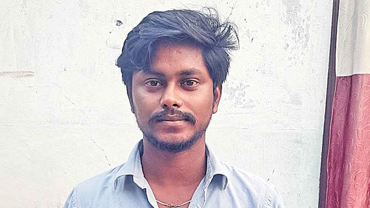 సరస్వతీ పుత్రుడికి ఎంత కష్టం!