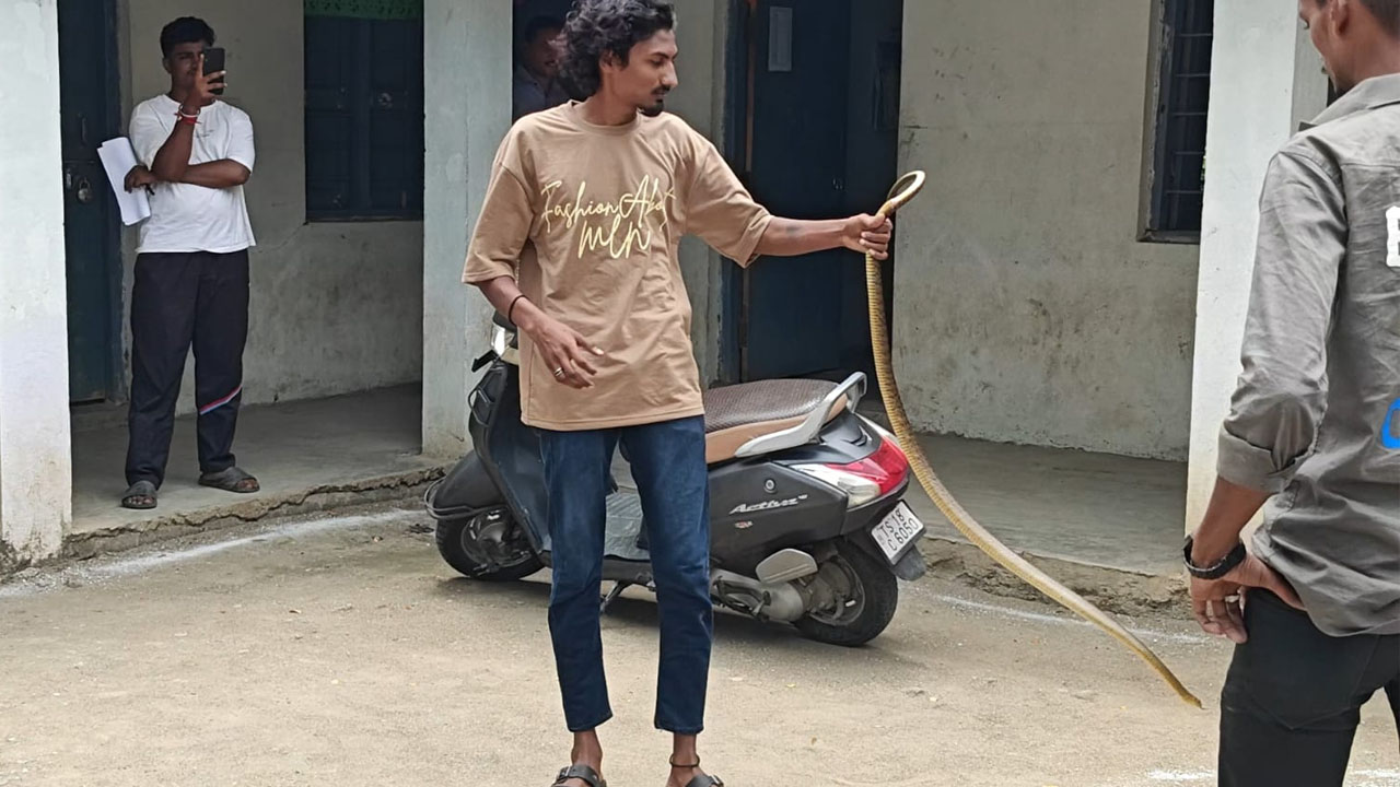 Snake | తహసీల్‌ కార్యాలయంలో దూరిన పాము.. పరుగులు తీసిన అధికారులు, సిబ్బంది