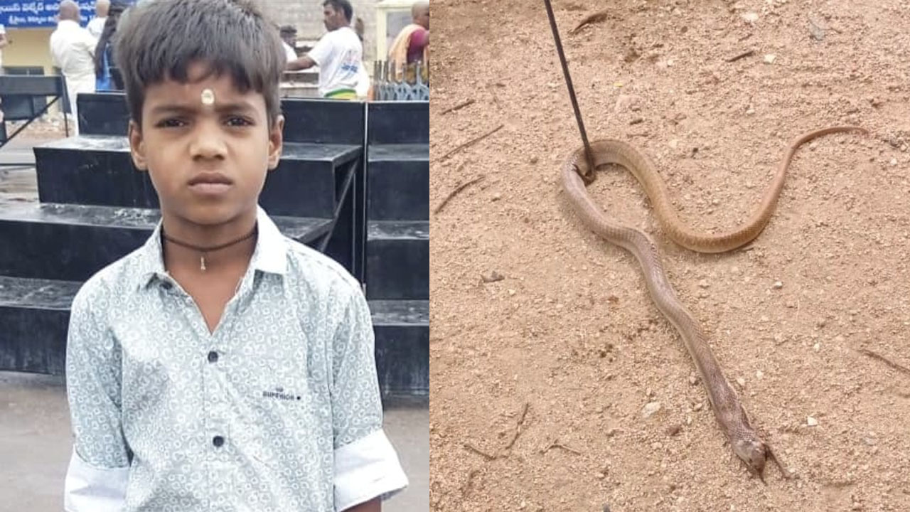 Tragedy | తలరాతను చెడిపేసిన తరగతి గది.. పాముకాటుతో విద్యార్థి మృతి
