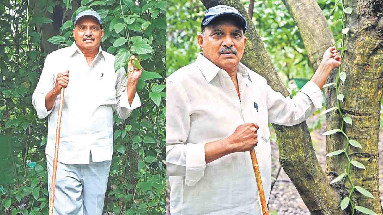 విత్తు కొనడు.. పంట అమ్మడు!
