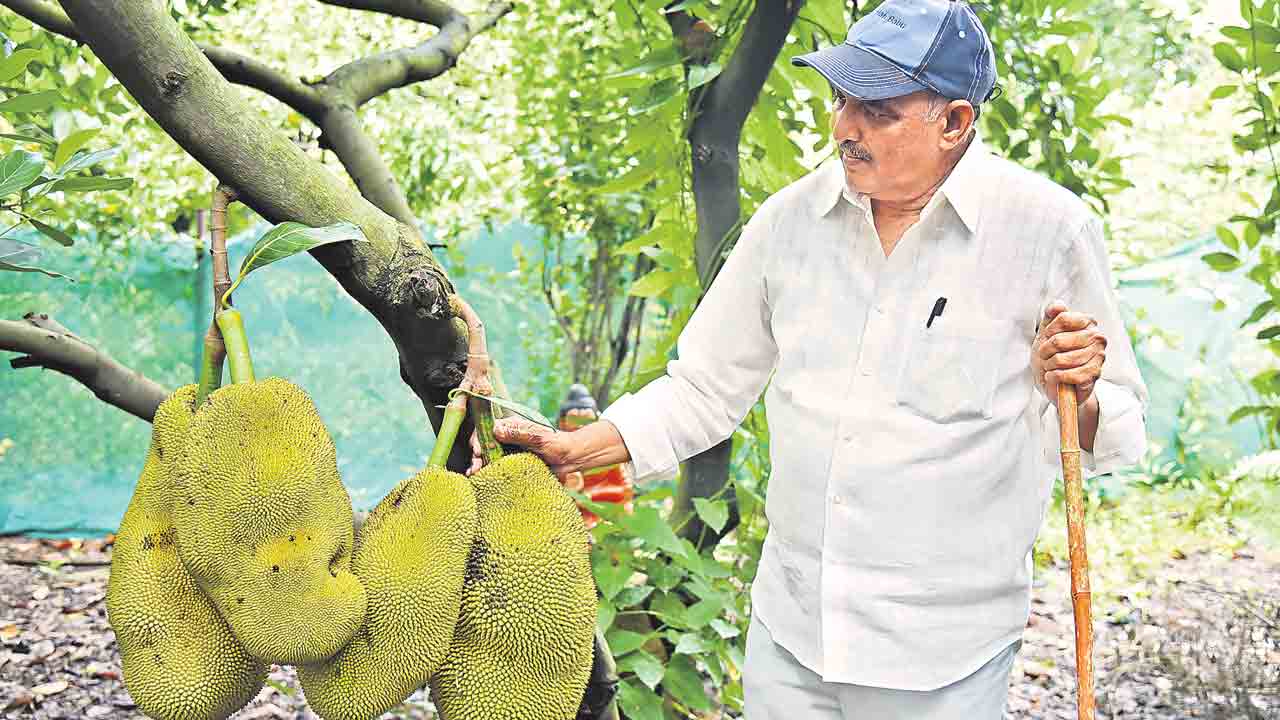 Sukhavasi Haribabu 2