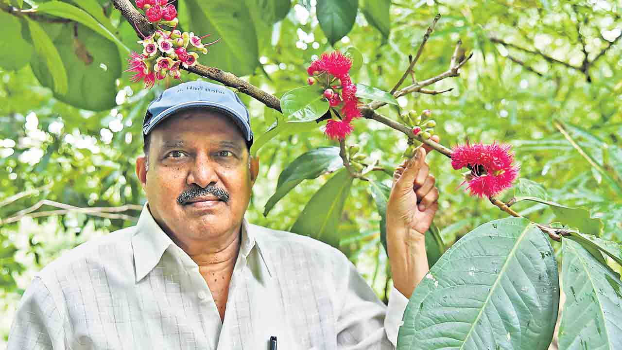 Sukhavasi Haribabu 3