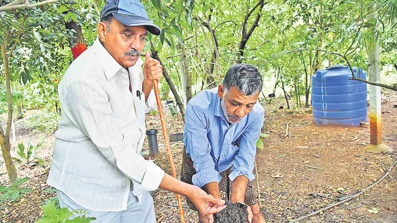 Sukhavasi Haribabu 5