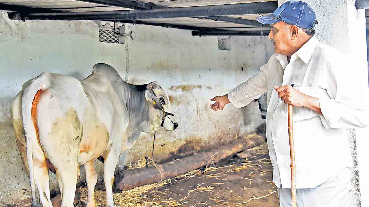 Sukhavasi Haribabu 6