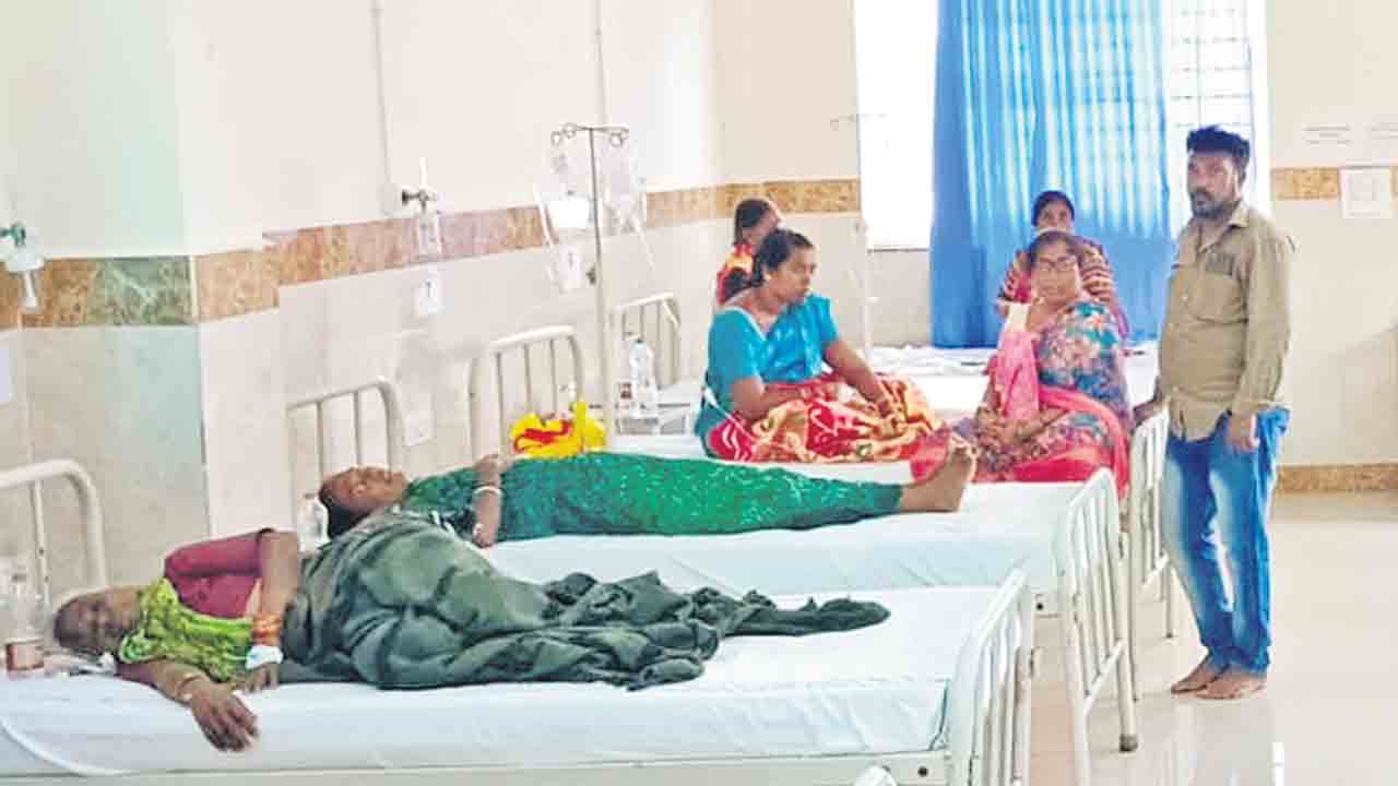 విజృంభిస్తున్న విషజ్వరాలు