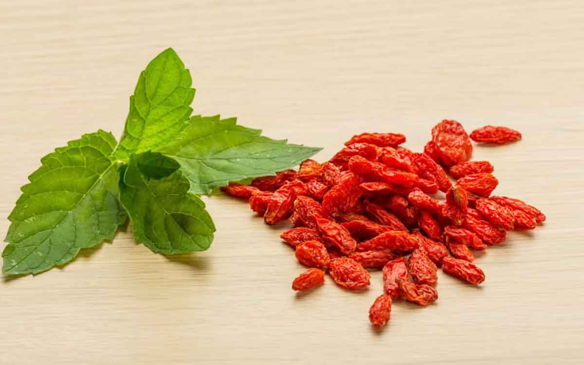 Berberine | బ‌రువు త‌గ్గించ‌డంలో జీఎల్‌పీ-1 మందులా ప‌నిచేస్తున్న ఈ పండు.. ఆన్‌లైన్ ప్ర‌చారంలో నిజ‌మెంత‌..?