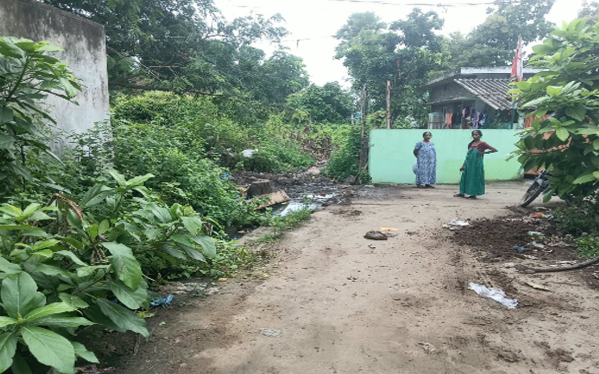 పడకేసిన పారిశుధ్యం… పట్టించుకోని అధికారులు