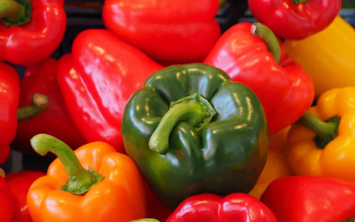 Capsicum | క్యాప్సిక‌మ్‌ను ఆహారంలో భాగం చేసుకుంటే క‌లిగే అద్భుత‌మైన లాభాలివే.. రంగులోనే ఉన్న‌దంతా..