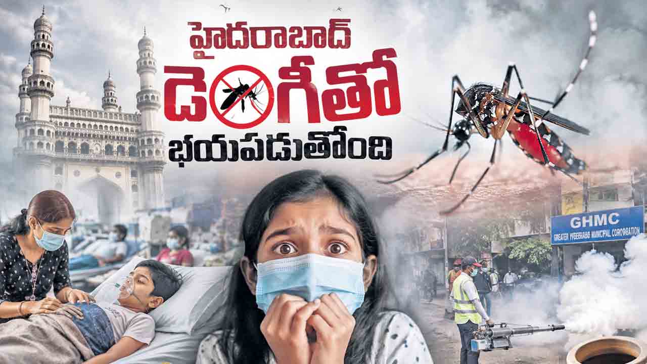 దడపుట్టిస్తున్న డెంగీ.. 10 రోజుల్లో.. 22 కేసులు