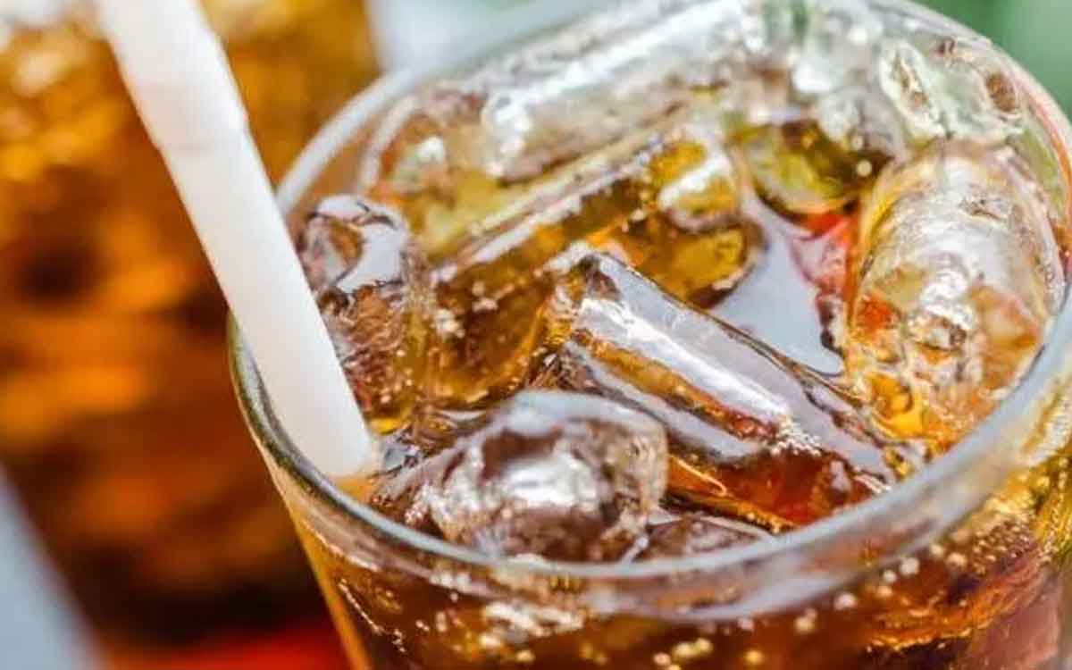 Diet Soda | షుగ‌ర్ ఫ్రీ లేదా డైట్ సోడాల‌ను తాగ‌వ‌చ్చా.. వీటిని తాగితే బ‌రువు పెర‌గ‌రా..?