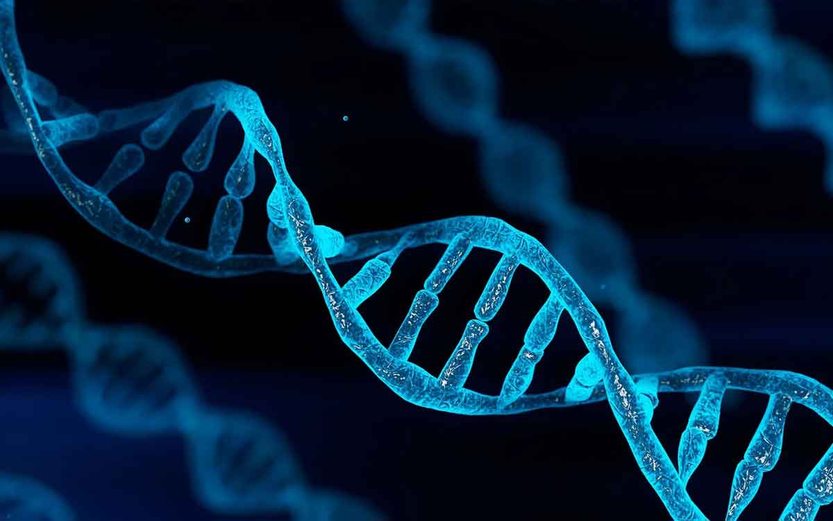 DNA | ర‌క్తంలోని డీఎన్ఏను ప‌రిశీలించి క్యాన్స‌ర్ వ‌స్తుందో, రాదో చెప్పేయ‌వ‌చ్చు.. సైంటిస్టుల‌ ప‌రిశోధ‌న‌..