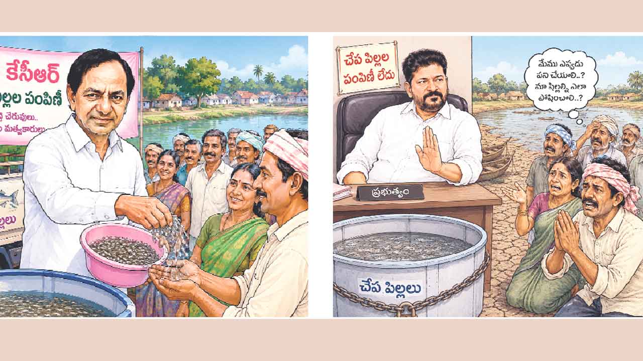 మా పైసా.. మా చేప.. సొంత డబ్బులతో చేప పిల్లలు కొనుగోలు చేస్తున్న మత్స్యకారులు