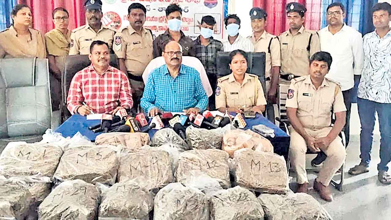 గంజాయి పట్టివేత