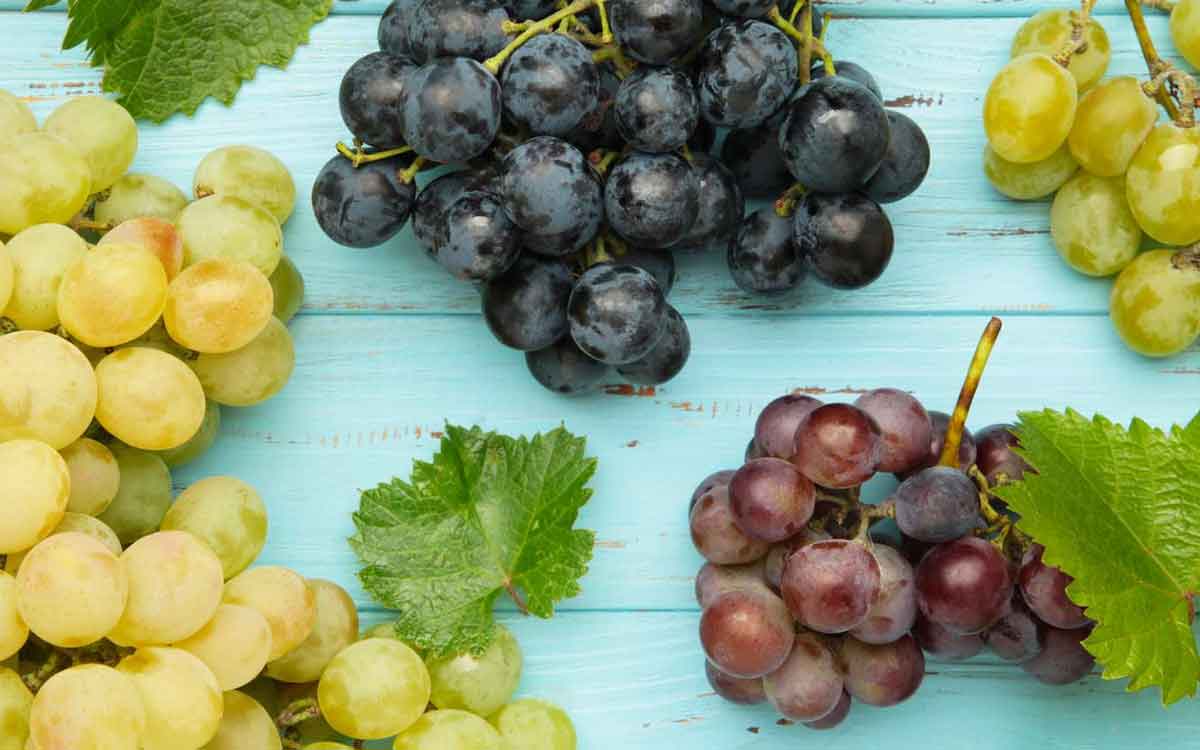 Grapes | గుండె ఆరోగ్యానికి అండ‌.. ద్రాక్ష‌.. రోజూ తింటే ఎన్నో లాభాలు..