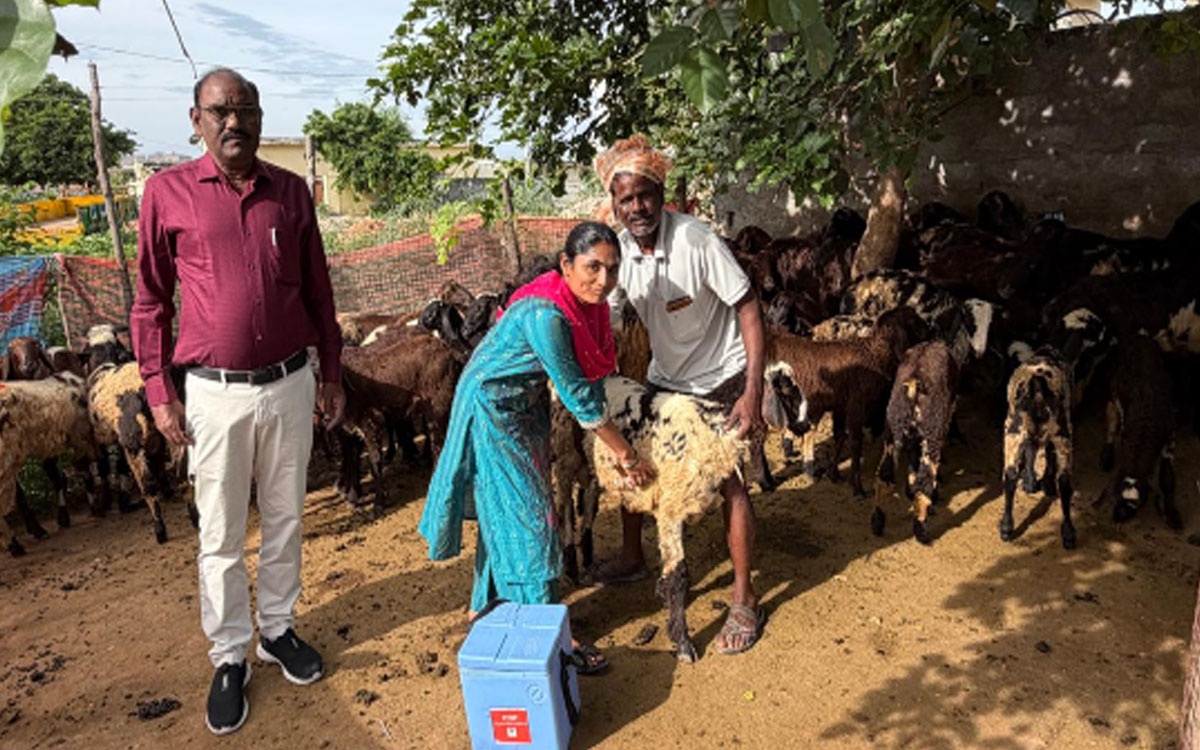 ‘జీవాల్లో నీలి నాలుక వ్యాధి – రైతులు అప్రమత్తంగా ఉండాలి’
