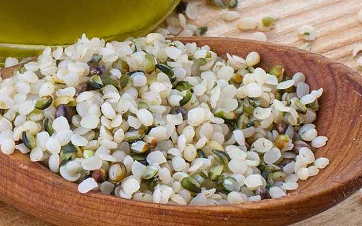 Hemp Hearts | శాకాహారుల‌కు ప్రోటీన్ల‌ను అందించే అత్యుత్త‌మ ఆహారం ఇది.. రోజూ తీసుకుంటే ఎంతో మేలు..