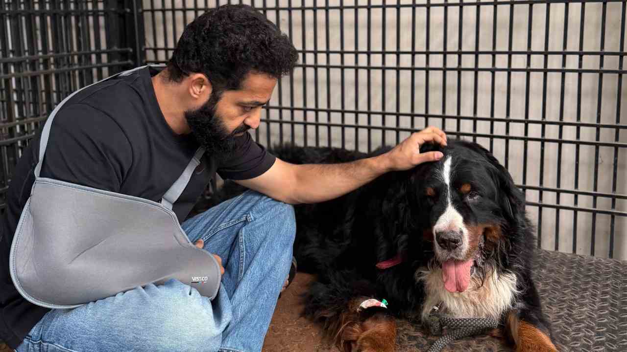 Jr NTR | ఎన్టీఆర్ ఇంట విషాదం.. ప్రాణంగా చూసుకునే పెంపుడు కుక్క ‘బఘీరా’ మృతి!