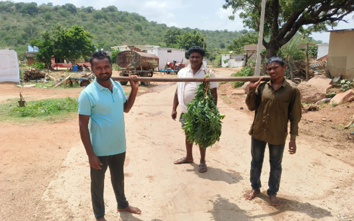వ‌ర్షాలు కుర‌వాల‌ని రేకుల‌గ‌డ్డ‌లో క‌ప్ప కావ‌డి