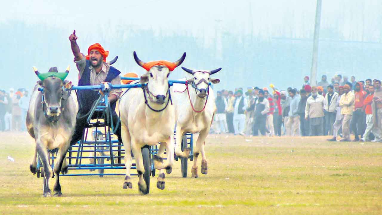Kila Raipoor