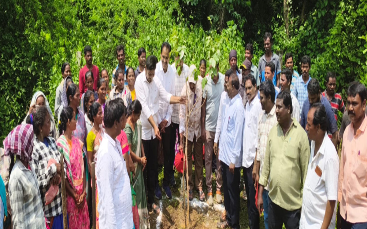 పారిశ్రామికవాడలో పచ్చదనం పెంపే లక్ష్యం