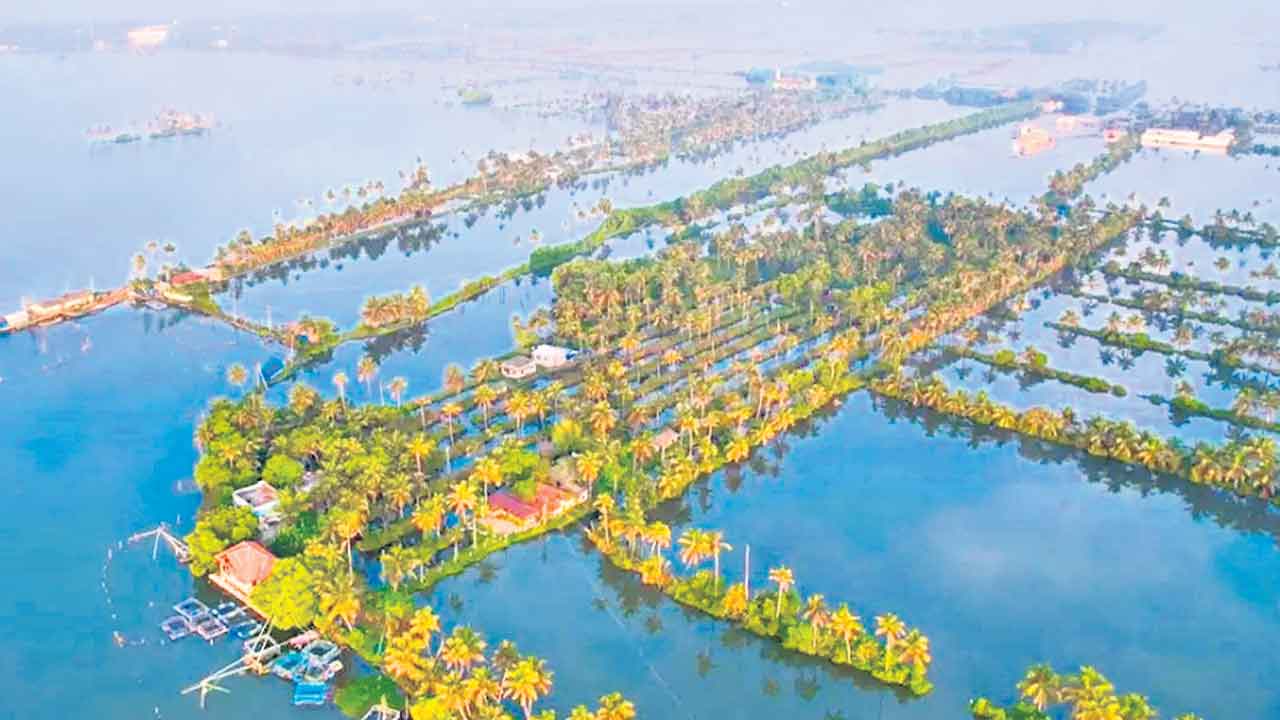 Kumbalangi (6)