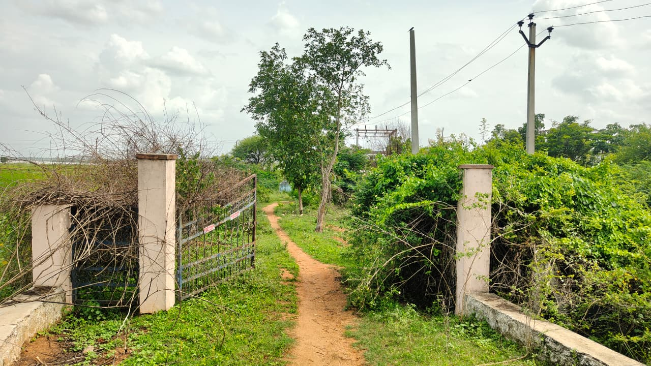 Maganuru | బూత్‌బంగ్లాగా కుసుమూర్తి విద్యుత్‌ సబ్‌స్టేషన్‌.. ప్రమాద ఘంటికలు మోగుతున్నా పట్టించుకోని విద్యుత్‌ శాఖ