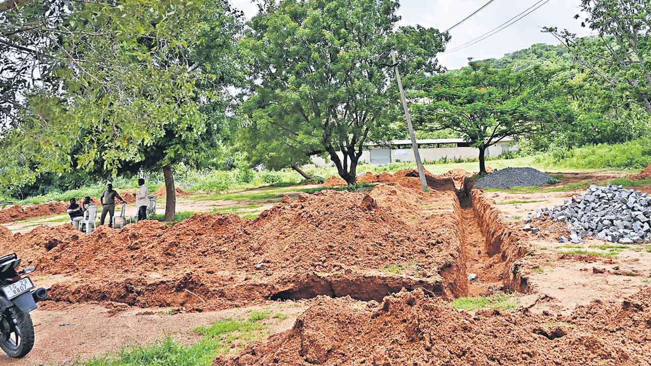 వృద్ధుల నీడపై పంజా