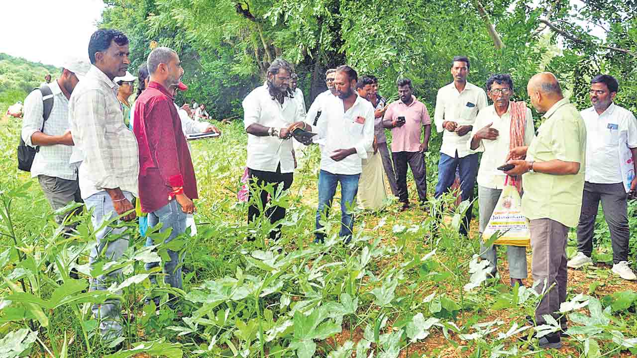 పేరపళ్లలో భూముల రీ సర్వే.. మూడు బృందాలతో ప్రక్రియ ప్రారంభం