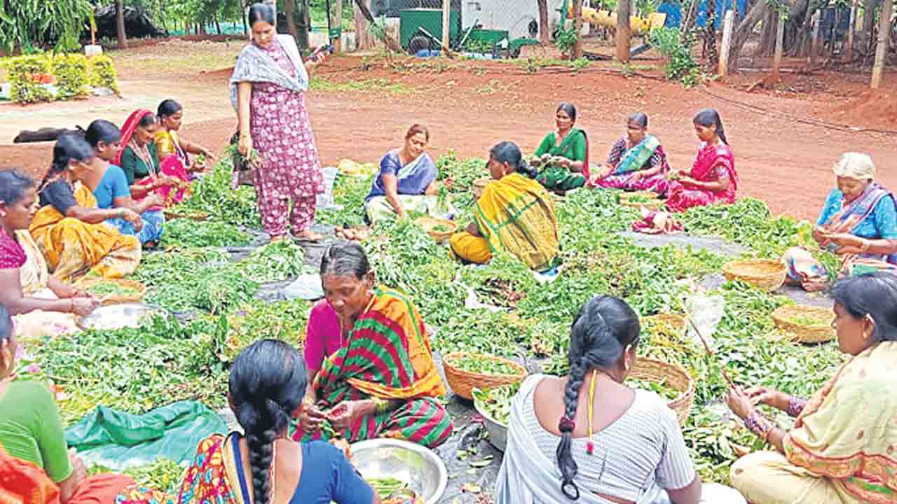 ఆకుకూరల్లో అనేక పోషక విలువలు