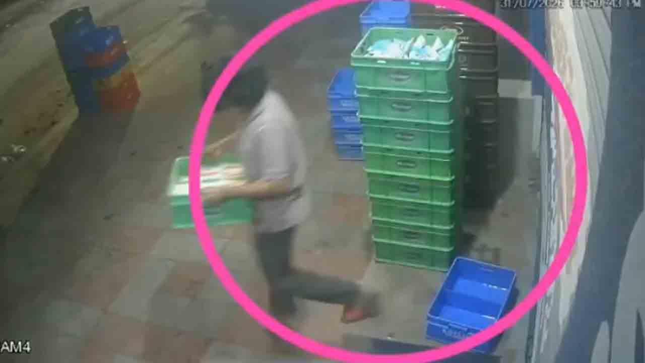 Milk packets | మేడ్చల్‌లో పాల ప్యాకెట్లు దొంగలిస్తున్న యువకుడు : వీడియో