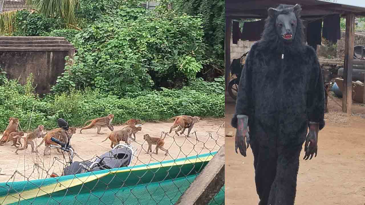 Monkeys | ఓ వైపు ప్రకృతి వైపరీత్యాలు.. మరోవైపు పంట రక్షణ కోసం ఎలుగుబంటిగా మారిన రైతన్న