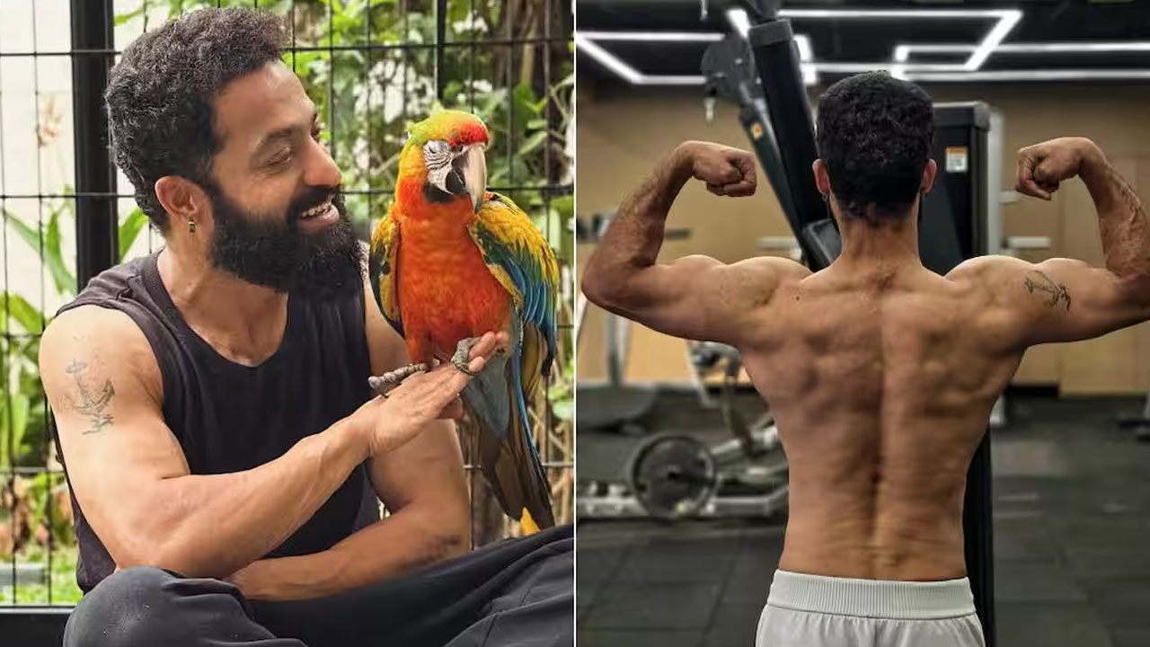 NTR | ఎన్టీఆర్‌కు భుజం గాయం.. అఫీషియ‌ల్ స్టేట్‌మెంట్ విడుద‌ల‌, అందులో ఏముంది అంటే..!