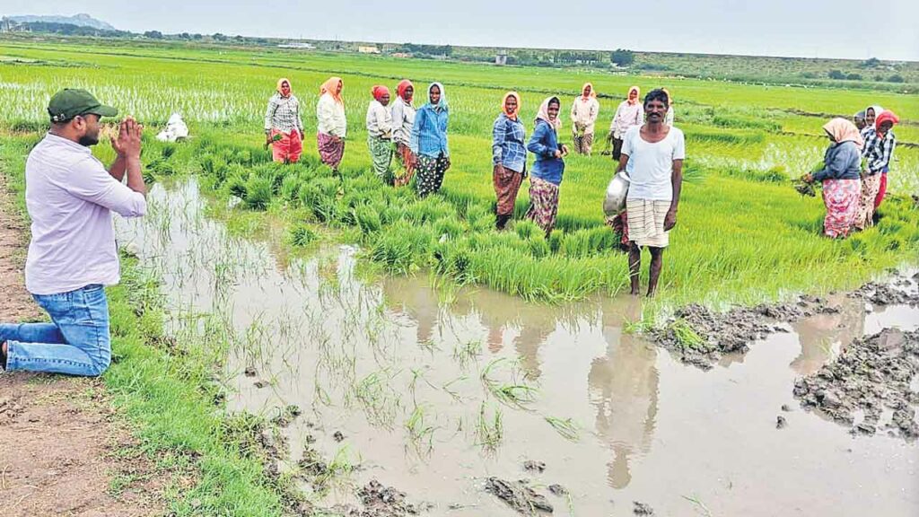 Paddy Cultivation | దండం పెడ్తున్నా.. వరి వేయొద్దు.. రైతులకు ఏఈవో వినూత్న వేడుకోలు