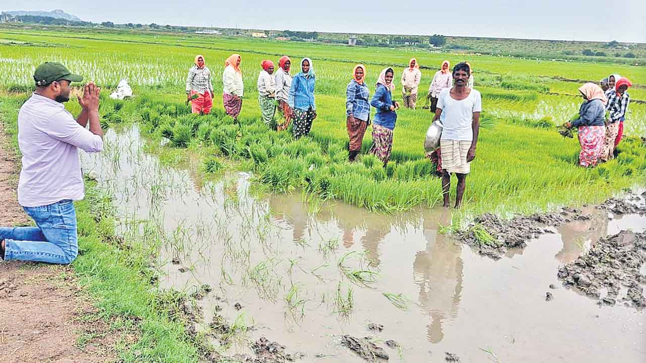 దండం పెడ్తున్నా.. వరి వేయొద్దు