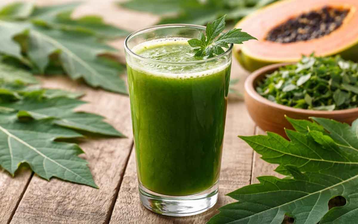 Papaya Leaves Juice | బొప్పాయి ఆకుల ర‌సాన్ని సేవిస్తే నిజంగానే ప్లేట్‌లెట్లు పెరుగుతాయా.. అధ్య‌య‌నాలు ఏం చెబుతున్నాయి..?