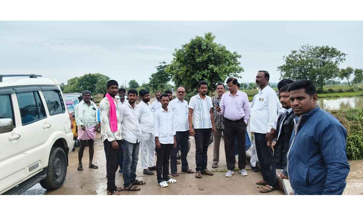 Pitlam | పిట్లం మండలంలో భారీ వర్షం.. ఉధృతంగా ప్రవహిస్తున్న వాగులు