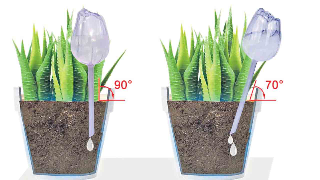 Planters
