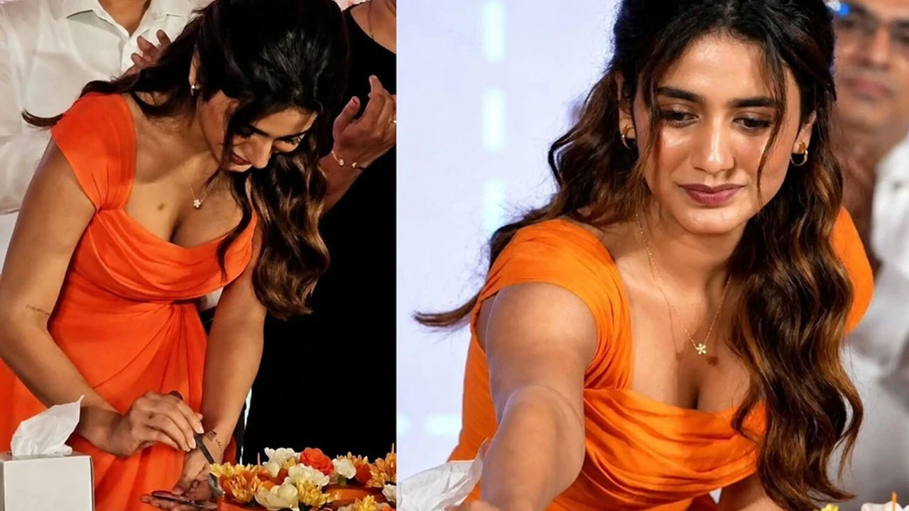Priya Prakash Varrier | డ్రెస్ రంగు గురించి విచిత్ర‌మైన‌ ప్రశ్న.. ప్రియా ప్రకాష్ వారియర్ స్మార్ట్ కౌంటర్‌కు షాక్ అయిన య్యూట్యూబ‌ర్‌!
