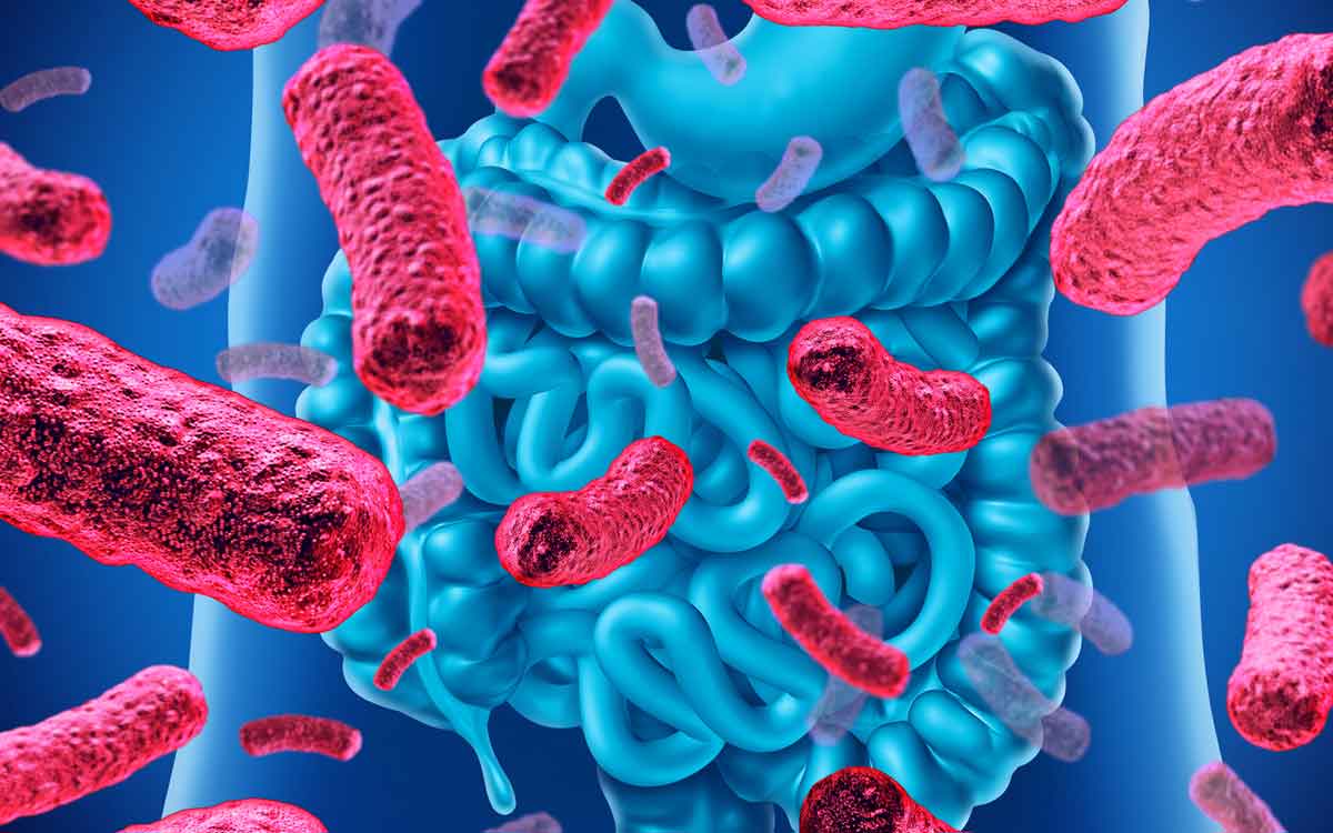 Probiotics | మ‌నం వాడుతున్న ప్రోబ‌యోటిక్ ట్యాబ్లెట్ల‌పై ఆస‌క్తిక‌ర అధ్య‌య‌నం.. అవి మ‌న‌కు స‌రిపోవ‌ట‌.. ఎందుకంటే..
