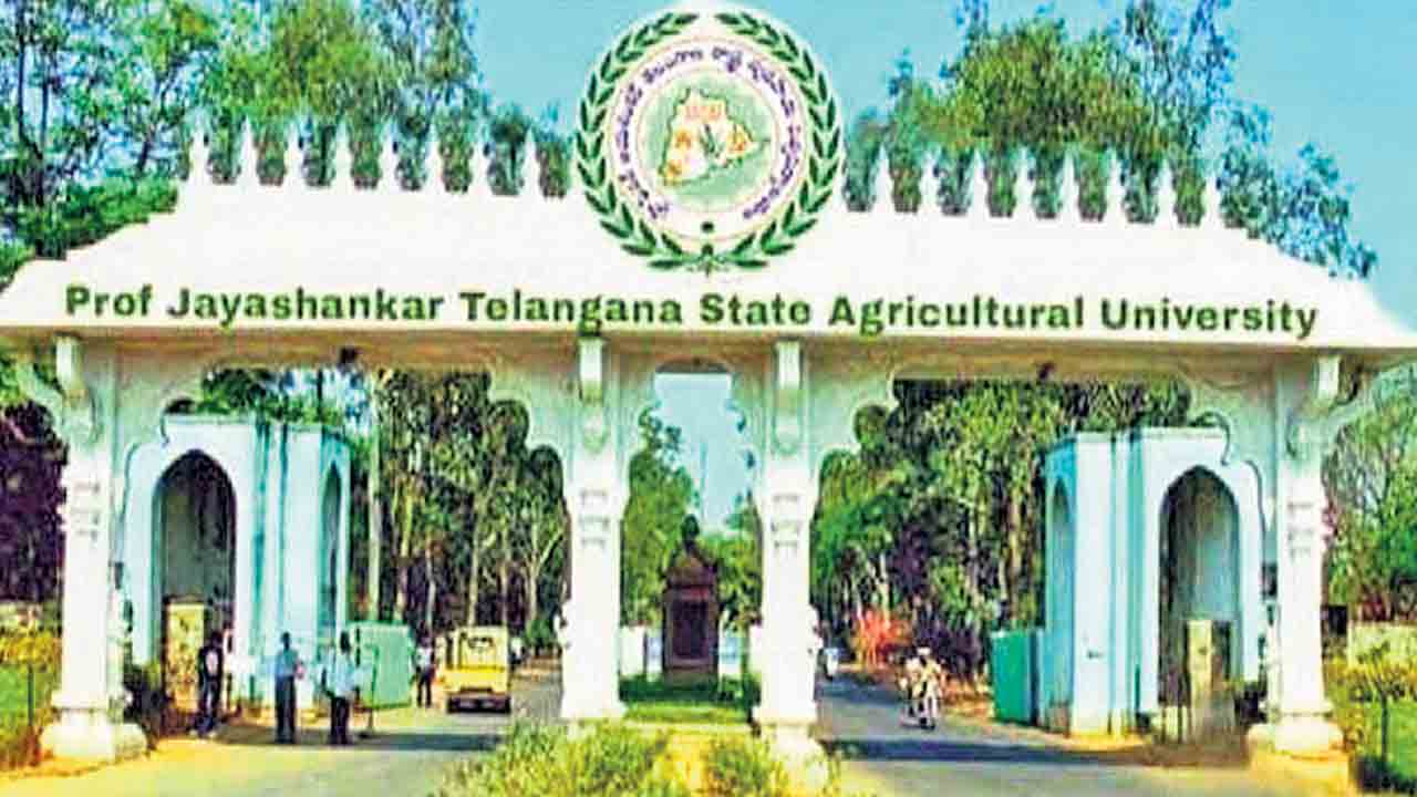 ఉద్యాన సీట్లకు కౌన్సెలింగ్‌ వద్దు