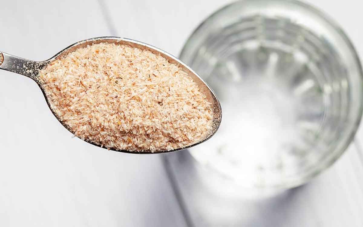 Fiber | మలబద్ధకానికి ఏ ఫైబర్ బెస్ట్? చియా, అవిసె, ఇసబ్‌గోల్‌లో ఏది ఎప్పుడు తీసుకోవాలి?