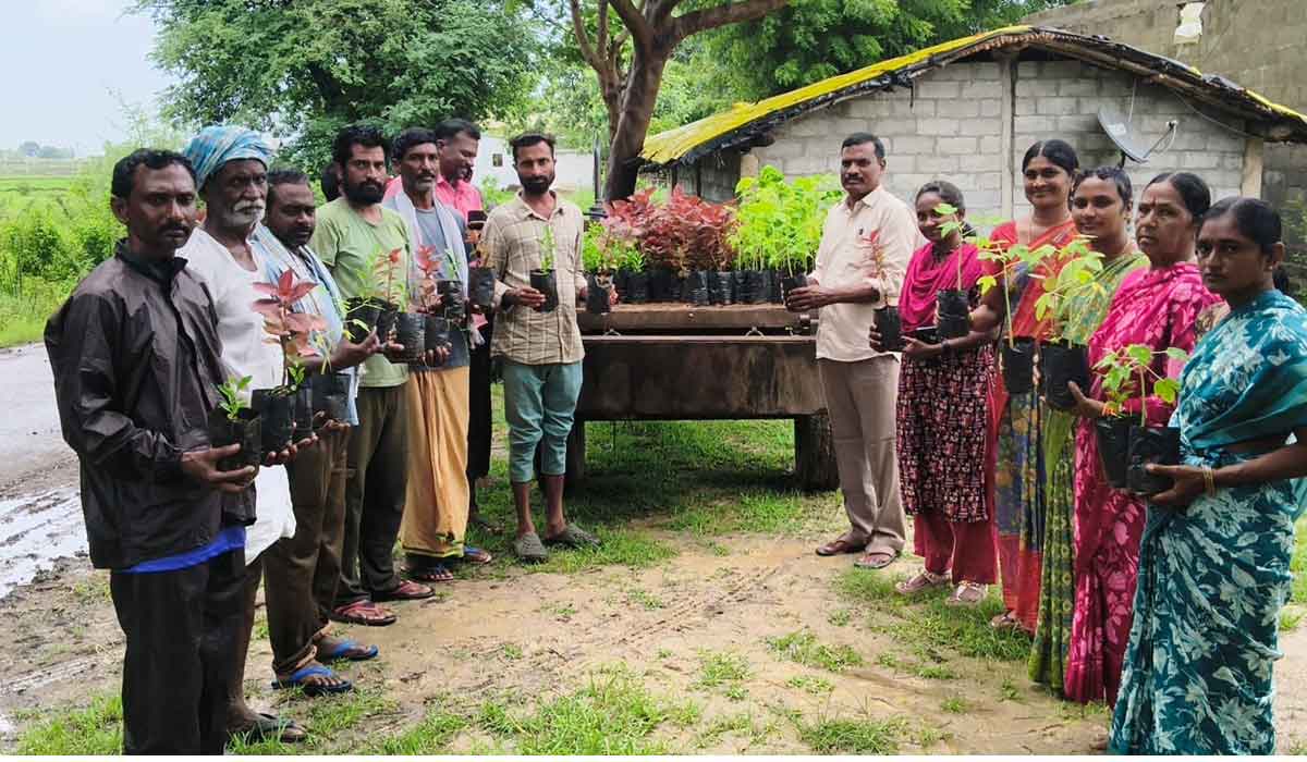 Odela | పిట్టల ఎల్లయ్యపల్లెలో ఇంటింటికి పండ్ల మొక్కల పంపిణీ