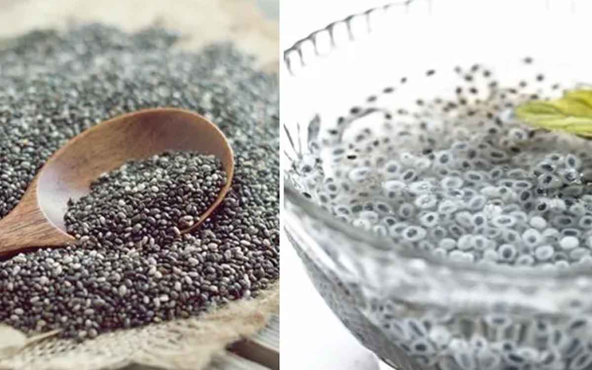 Sabja Seeds | అధిక బ‌రువును త‌గ్గించ‌డంలో స‌బ్జా గింజ‌లు మేలు చేస్తాయా.. నిపుణులు ఏం చెబుతున్నారు..?