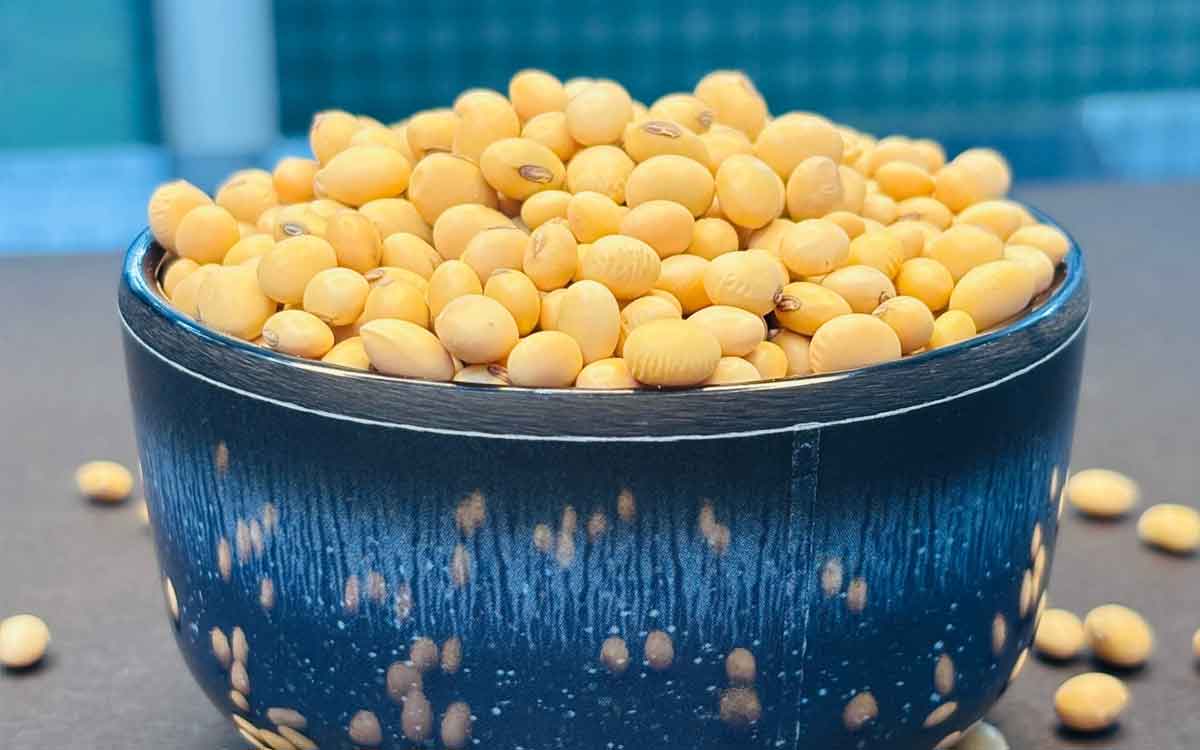 Soyabean | రోజువారీ ప్రోటీన్ అవ‌స‌రాల‌ను సోయాబీన్స్ తీరుస్తాయా.. రోజుకు ఎంత తీసుకోవాలి..?