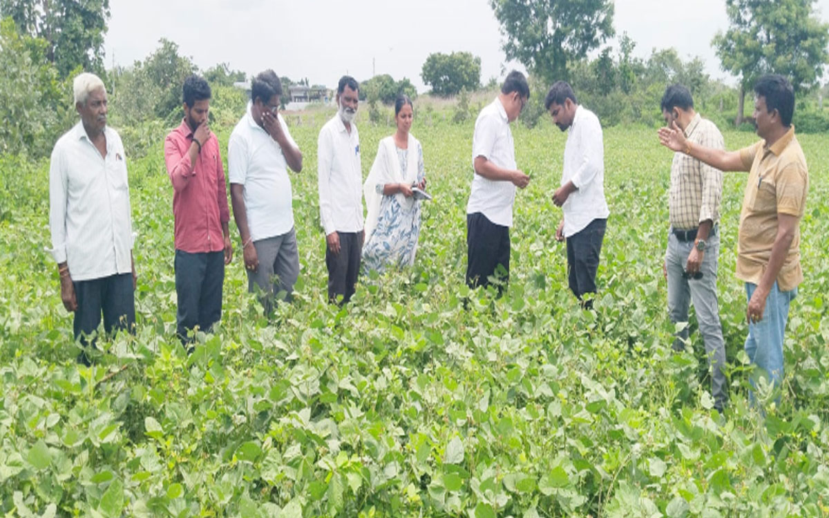 ‘రైతులు ప్రత్యామ్నాయ పంటలను సాగు చేయాలి’