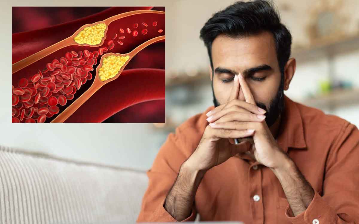 Stress | దీర్ఘ‌కాలంగా ఒత్తిడి ఉంటే కొలెస్ట్రాల్‌పై ప్ర‌భావం ప‌డే ప్ర‌మాదం.. హెచ్చ‌రిస్తున్న నిపుణులు..